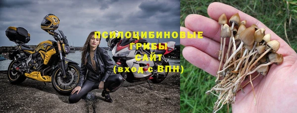 СК Михайловск