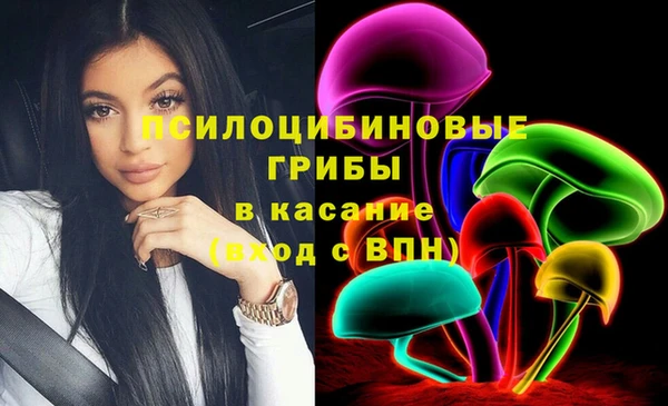 СК Михайловск